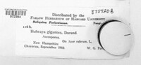 Image Associated With the Occurence